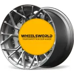 Кованые диски WW011