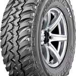 Bridgestone Dueler M/T 674 215/75 R15 100Q