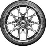 Bridgestone Potenza Race 225/40 R18 92Y XL — изображение 2