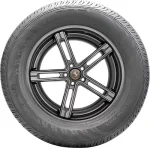 Continental ContiProContact 195/55 R16 86H — изображение 2