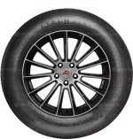 Doublestar DL01 205/85 R16 112R — изображение 2