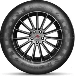 Doublestar DS01 275/65 R17 115T — изображение 2