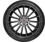 Doublestar DSU02 275/55 R20 117W — изображение 2