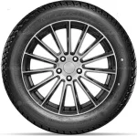 Doublestar DW01 225/75 R16C 115/112Q — изображение 2