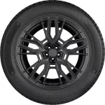 Gripmax Grip Ice X SUV 285/50 R20 116H — изображение 2