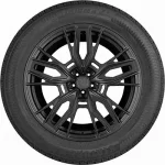 Gripmax Stature M/S 295/35 R21 107V XL — изображение 2