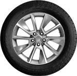Ikon Nordman RS2 215/60 R16 99R — изображение 2