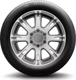 Michelin 4X4 Diamaris 255/45 R18 99V — изображение 2