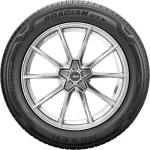 Nexen Roadian GTX 215/70 R16 100H — изображение 2