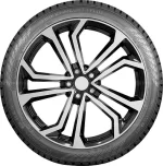 Nokian Hakkapeliitta 10 SUV 315/40 R21 115T XL — изображение 2