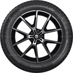 Triangle PL01 225/55 R17 101R XL — изображение 2