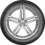 Triangle TE307 ReliaX 215/55 R16 97W XL — изображение 2