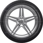 Triangle TW401 WinterX 215/60 R17 100T XL — изображение 2