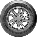 Windforce Advanfors Max 235/65 R16C 115/113R — изображение 2