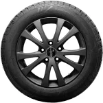 Windforce Snowblazer 185/65 R15 88H — изображение 2