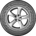Windforce Transmaster Van A/S 175/70 R14C 95/93T — изображение 2